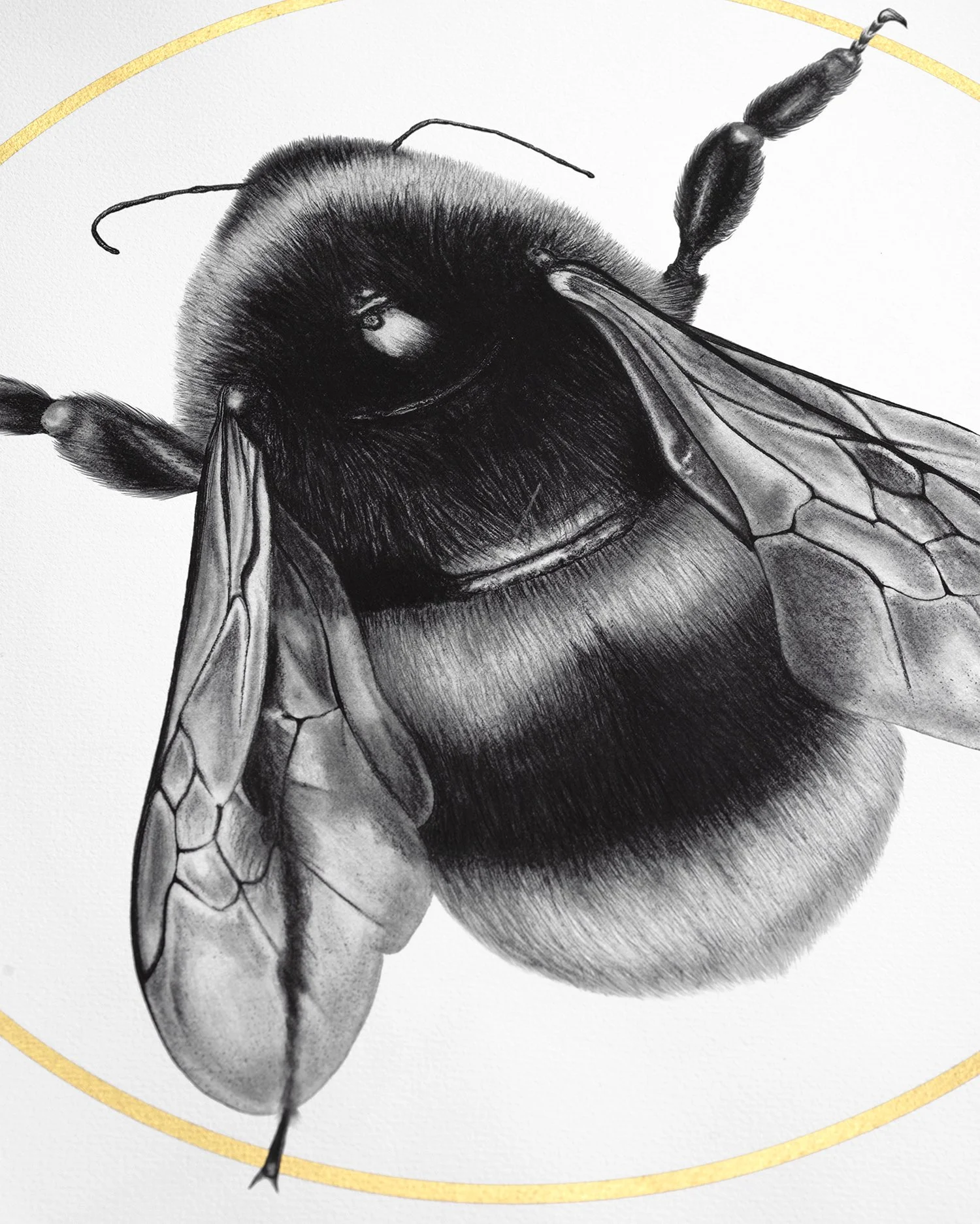BEE (22K) LARGE HAND FINISHED - ARTIST'S PROOF — Elizabeth Waggett